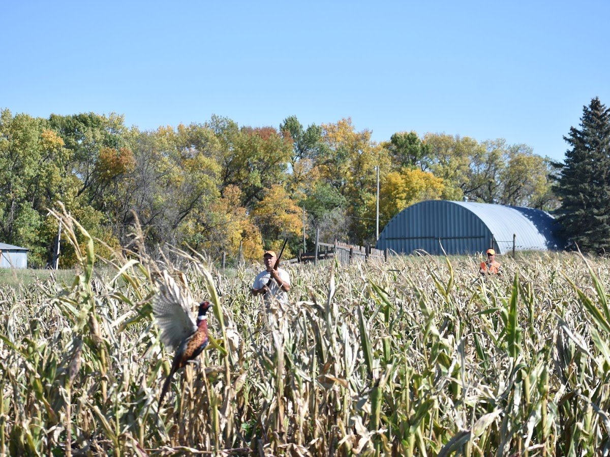 Baldhill Creek Adventures