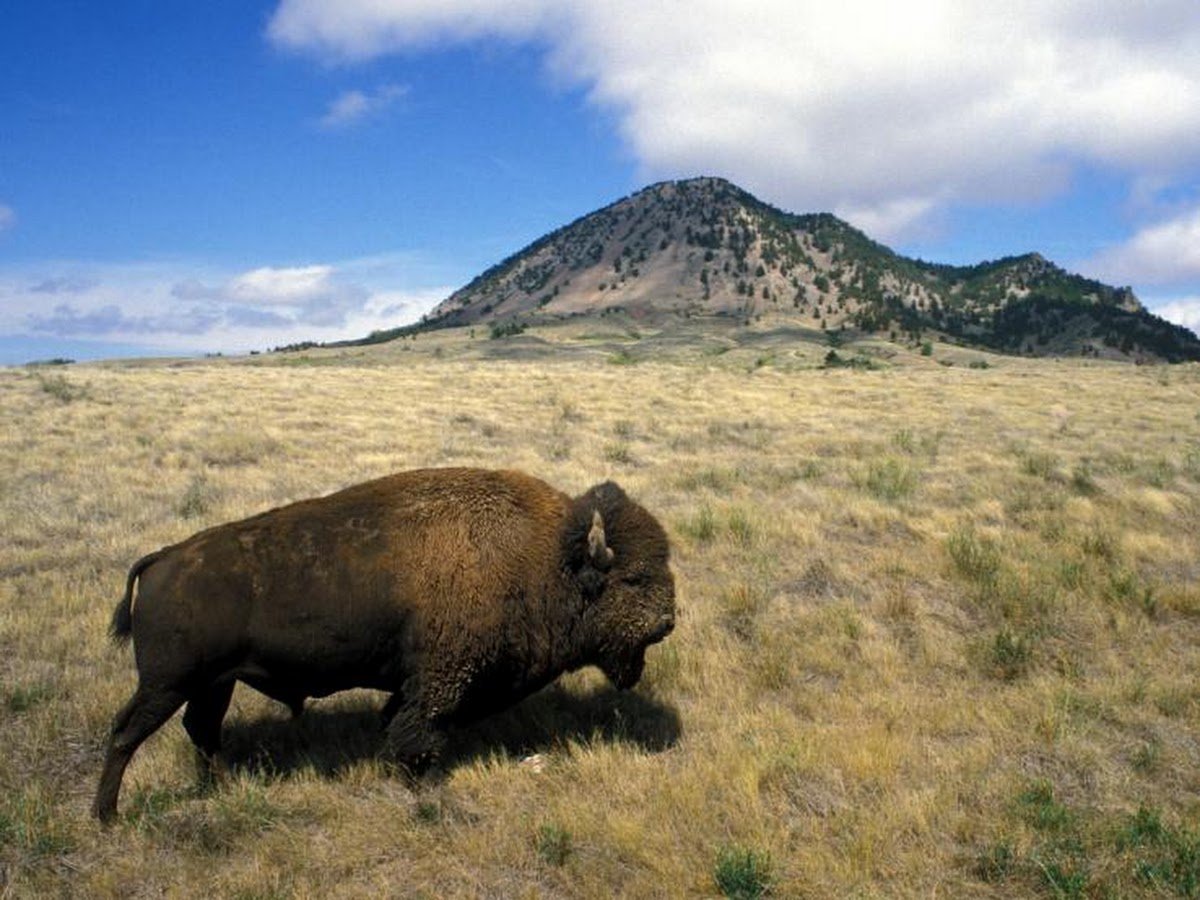 Bear Butte State Park