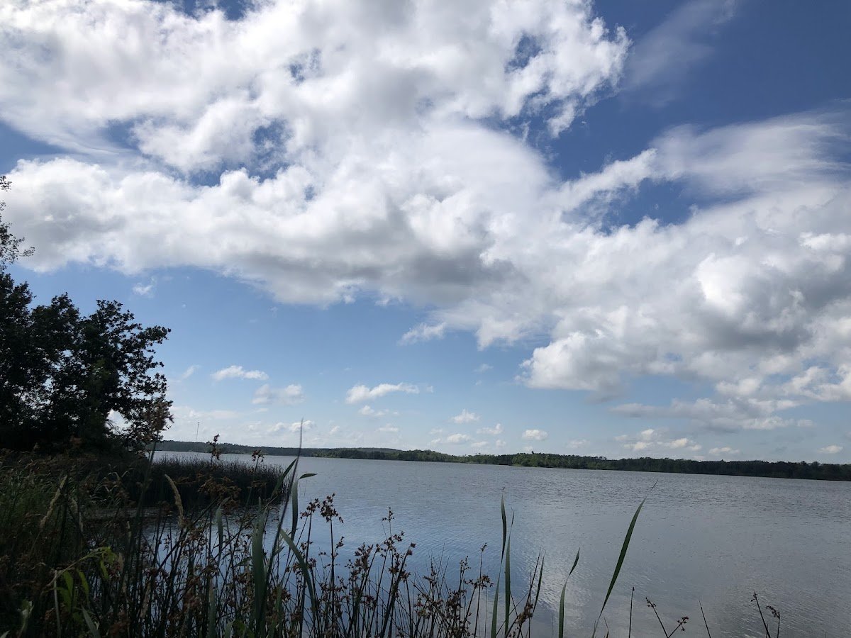 Belcourt Lake photo 1