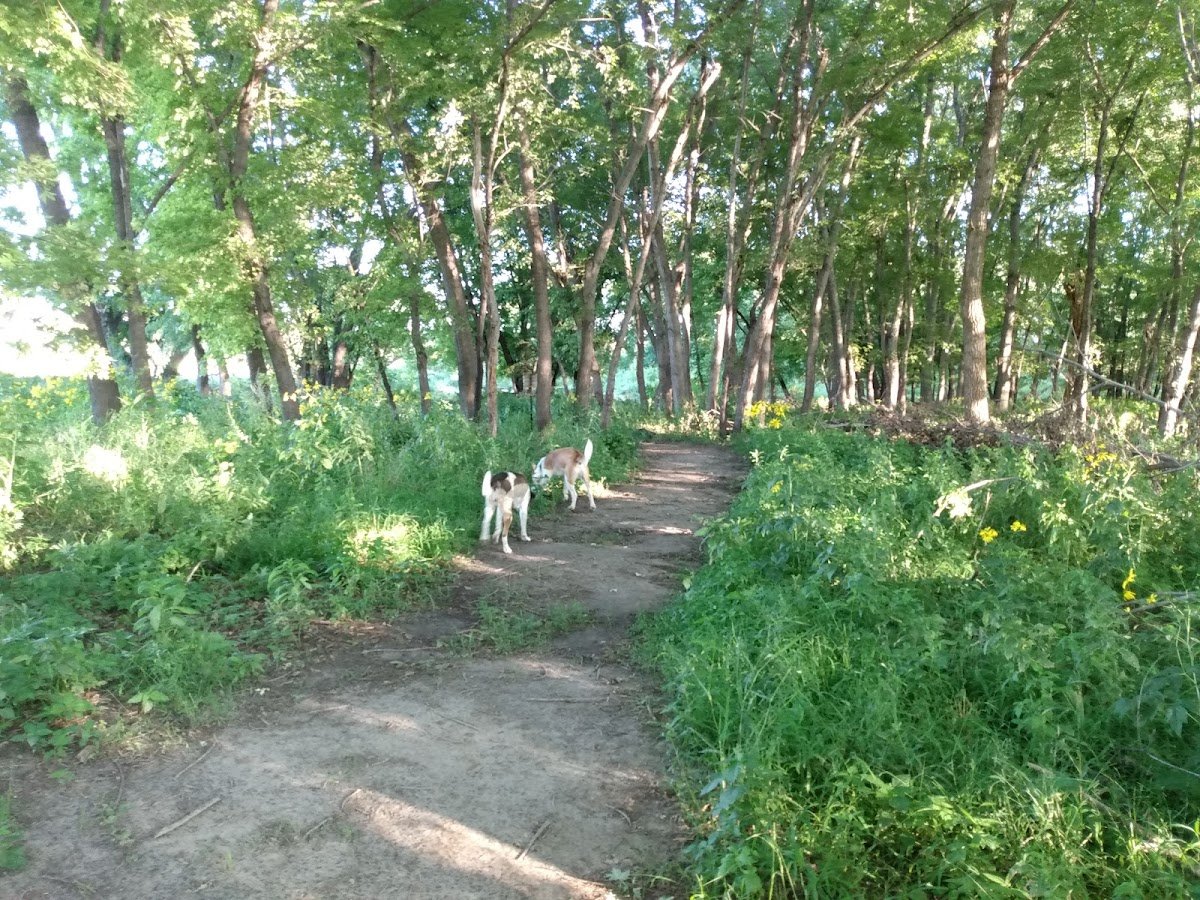 Big Sioux Recreation Area Dog Training Park