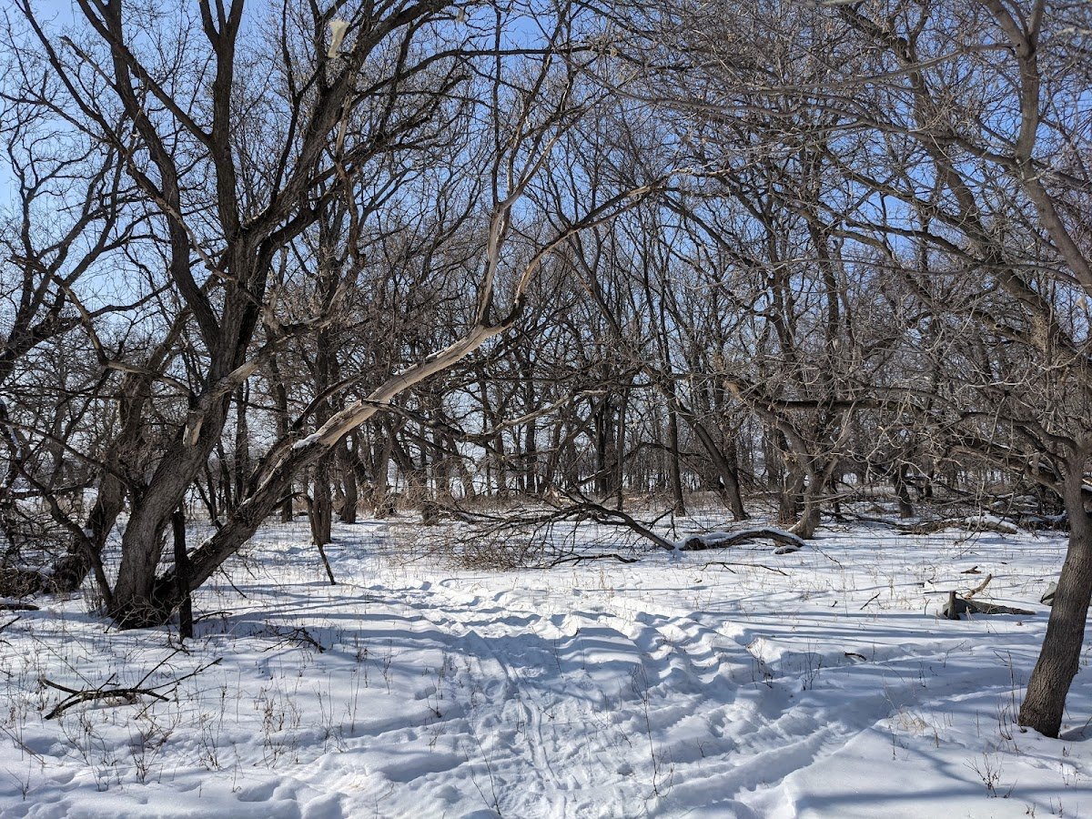 Big Stone Island Nature Area