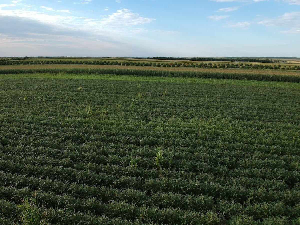 Biggins Hunting Service