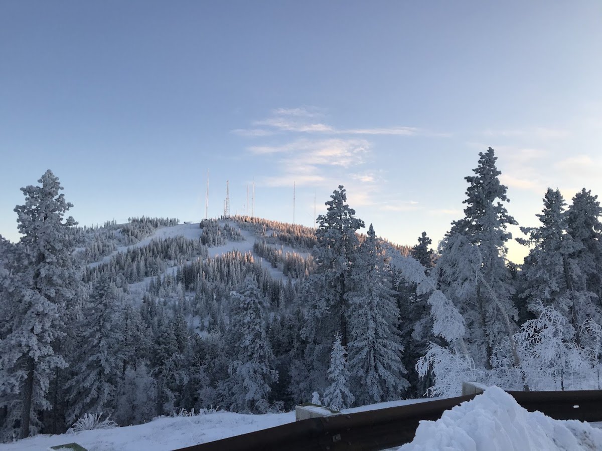 Black Hills Cabin Rentals