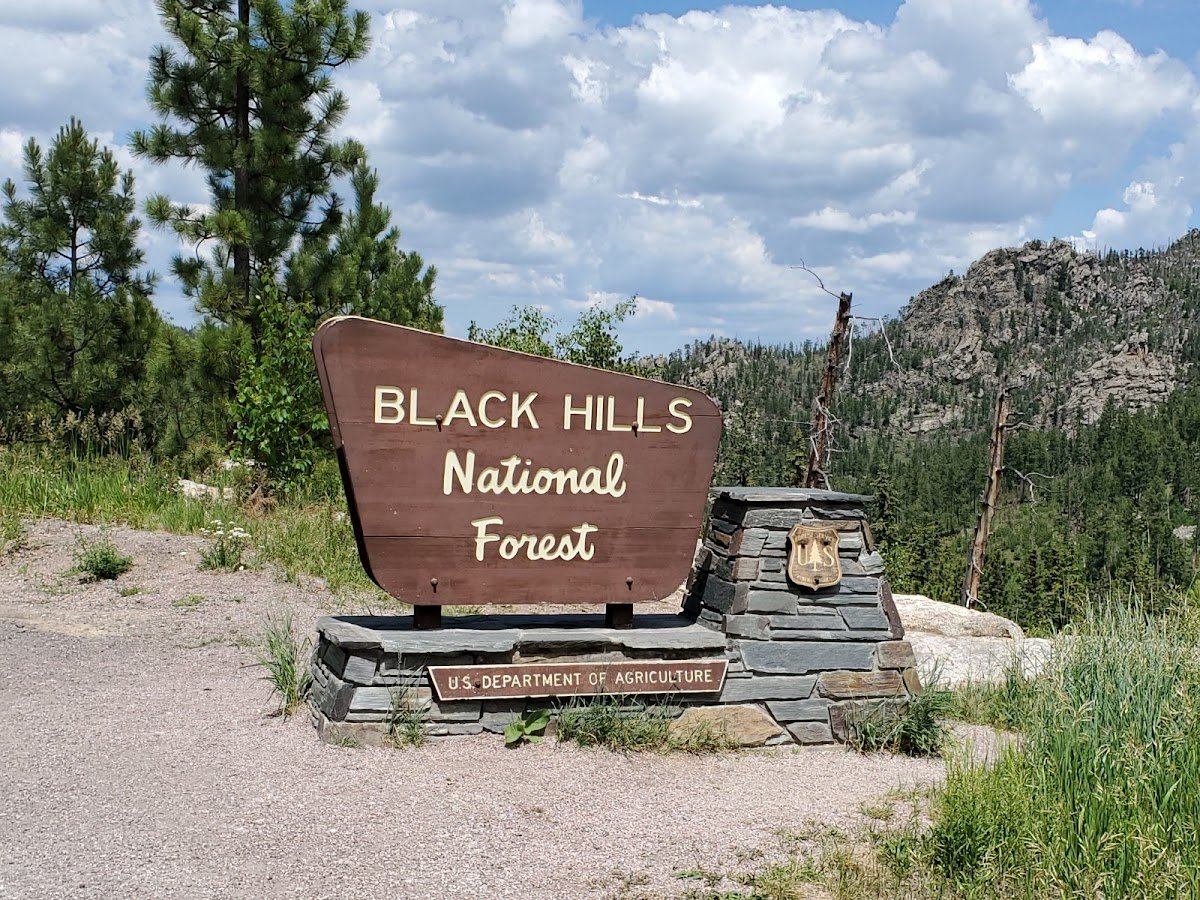 Black Hills National Forest