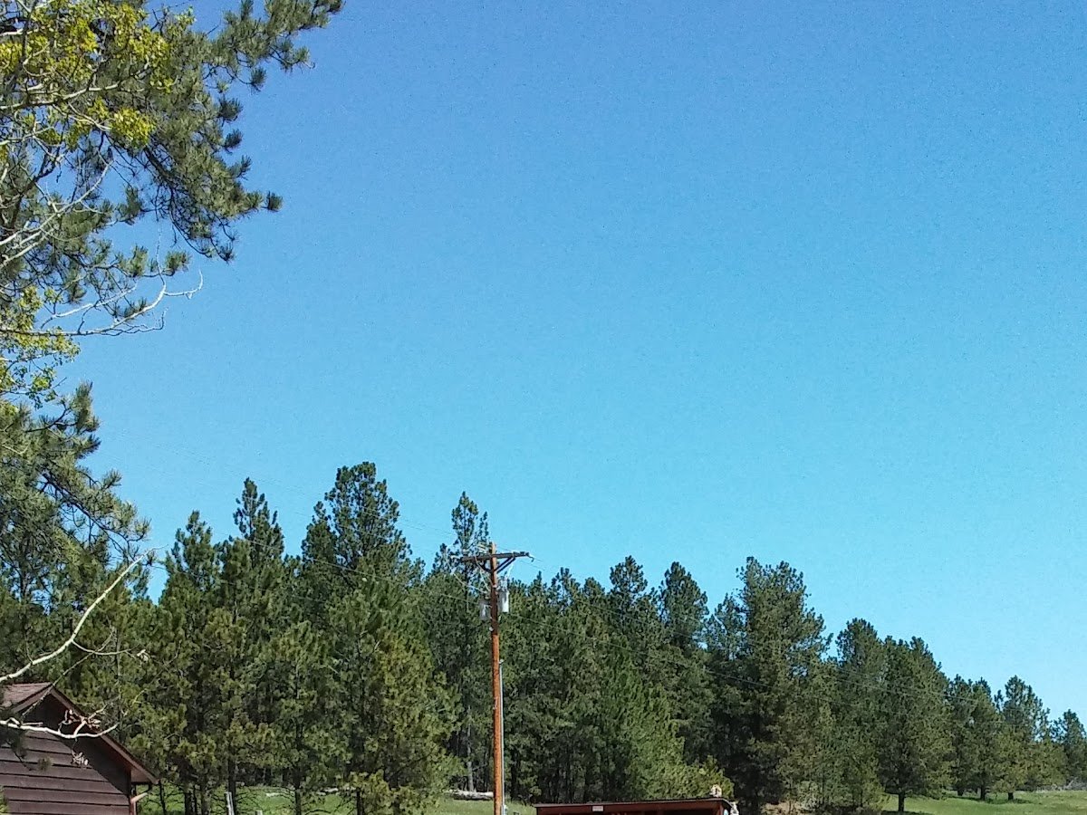 Black Hills South Dakota Cabins