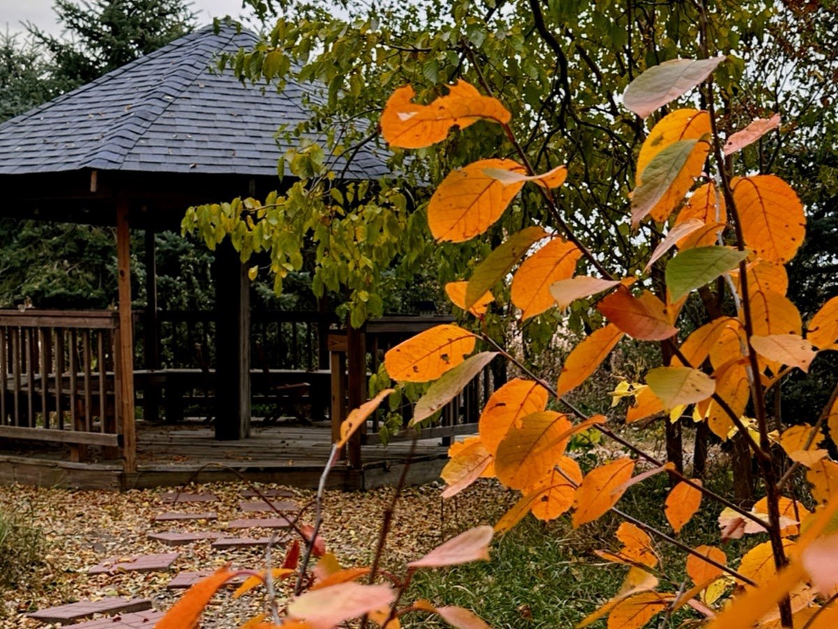 Blue Tin Ranch photo 1
