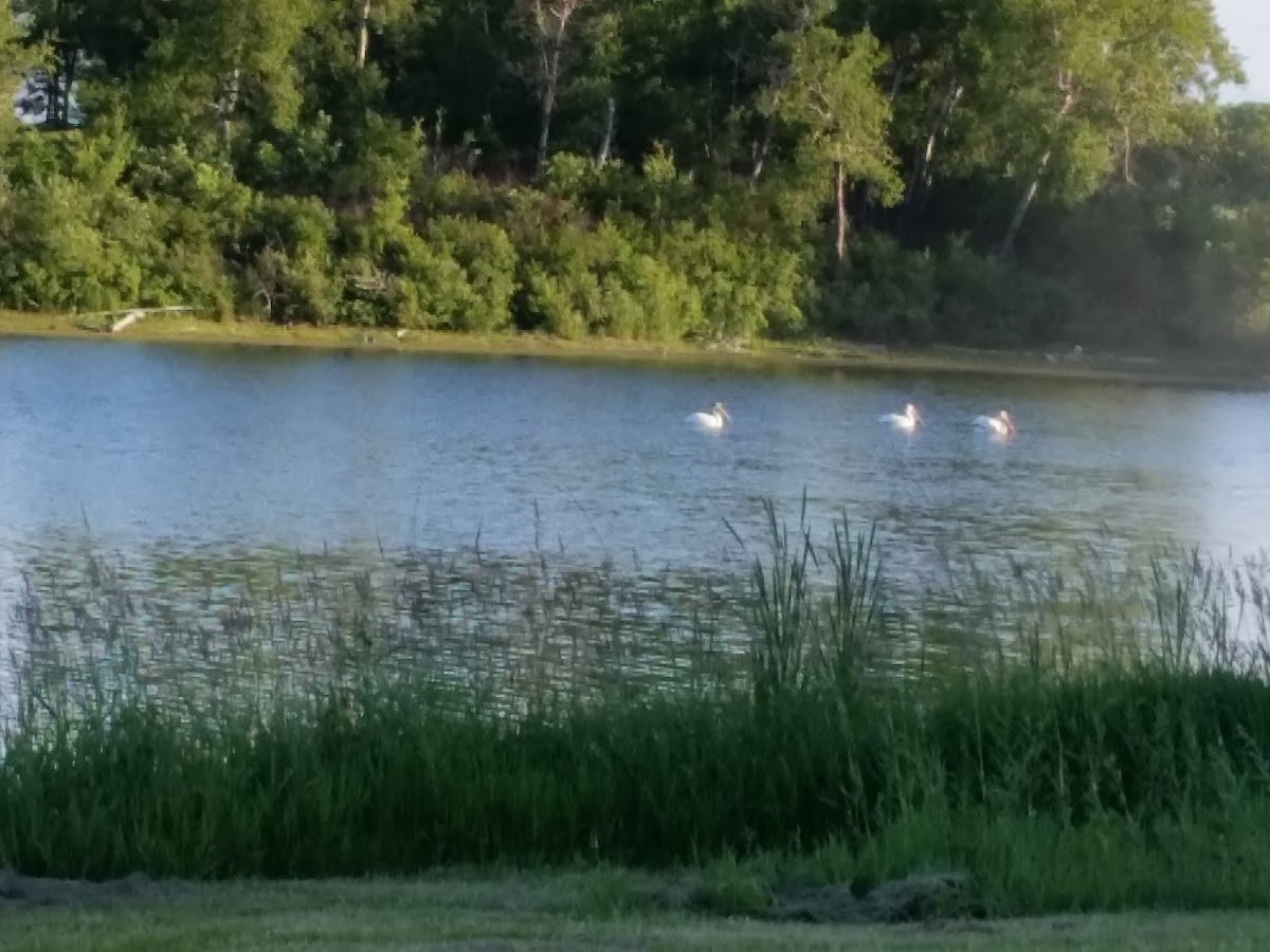 Boy Scout Camp photo 1