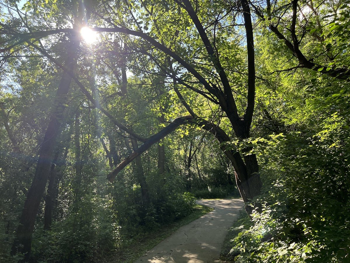 Cotton Park