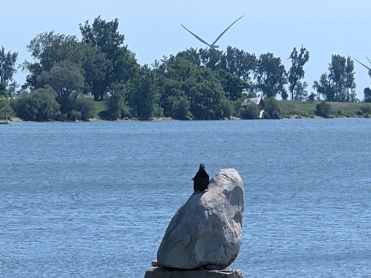 Dakota Ridge Hunting and Lodge