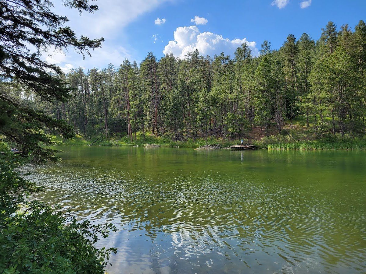 Dalton Lake Picnic Area