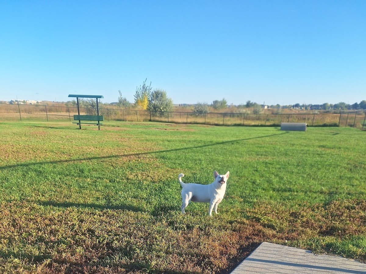 Doc Nelson Dog Park
