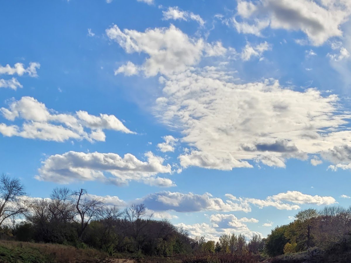 Fisher Grove State Park photo 1