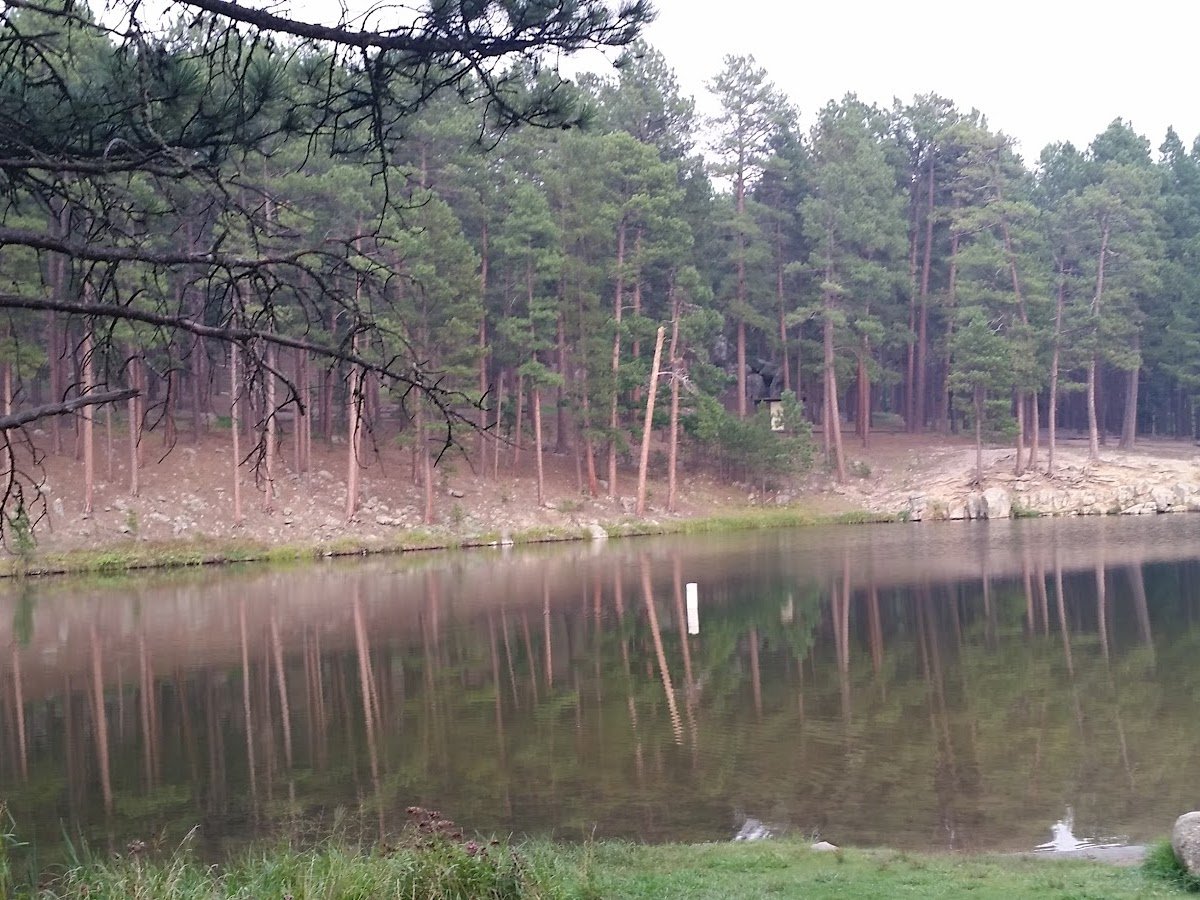 Grace Coolidge Creek