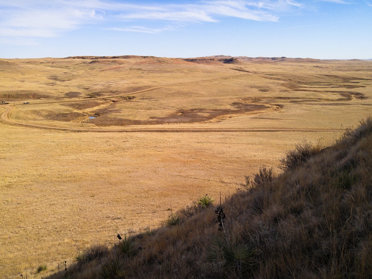 Grand River National Grassland