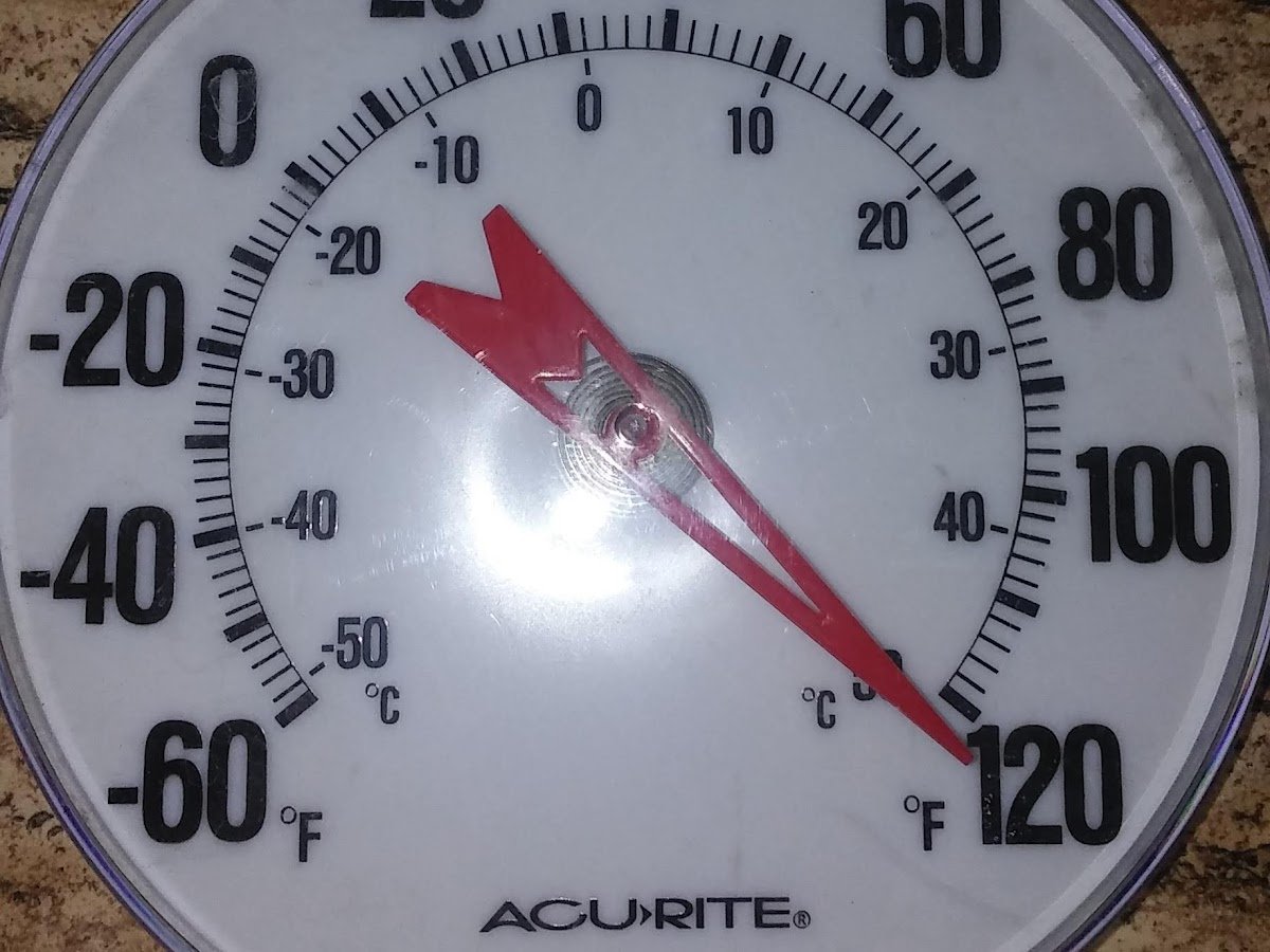 Grouse Viewing Blinds