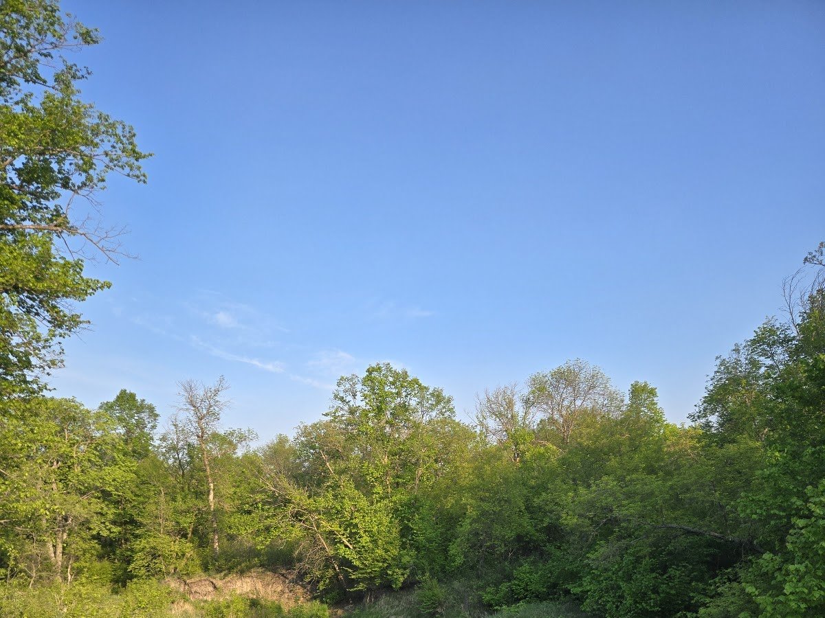Gunlogson State Nature Preserve