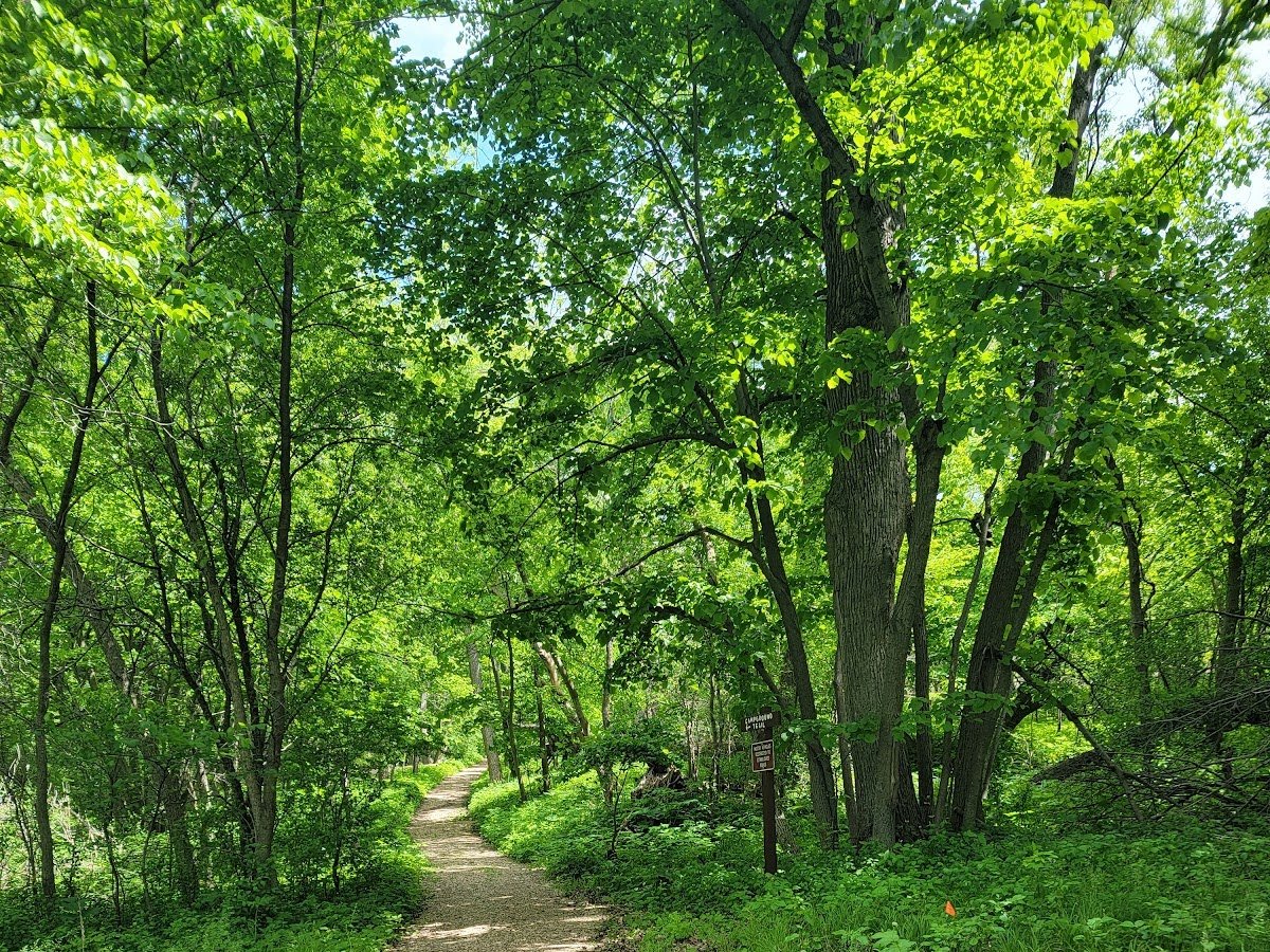 Hartford beach walking trail