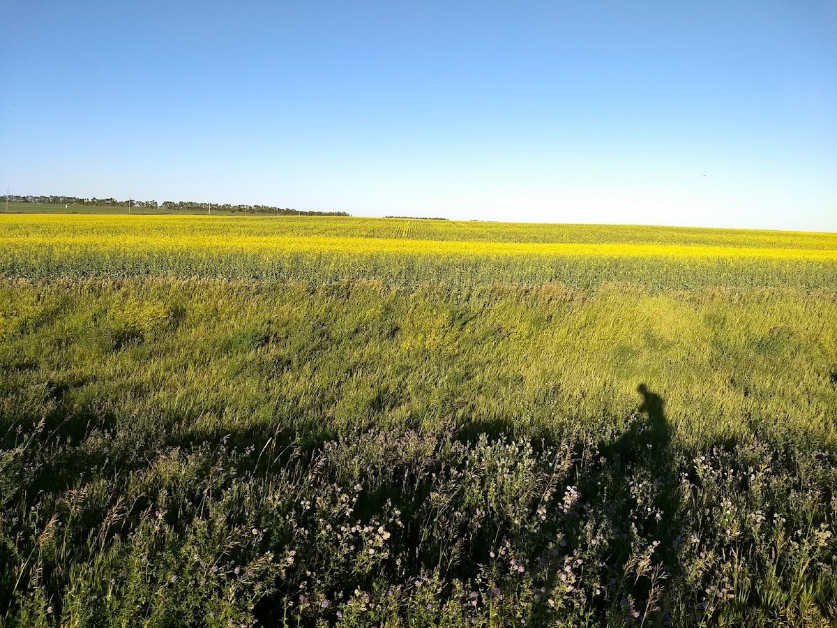 Hiddenwood National Wildlife Refuge