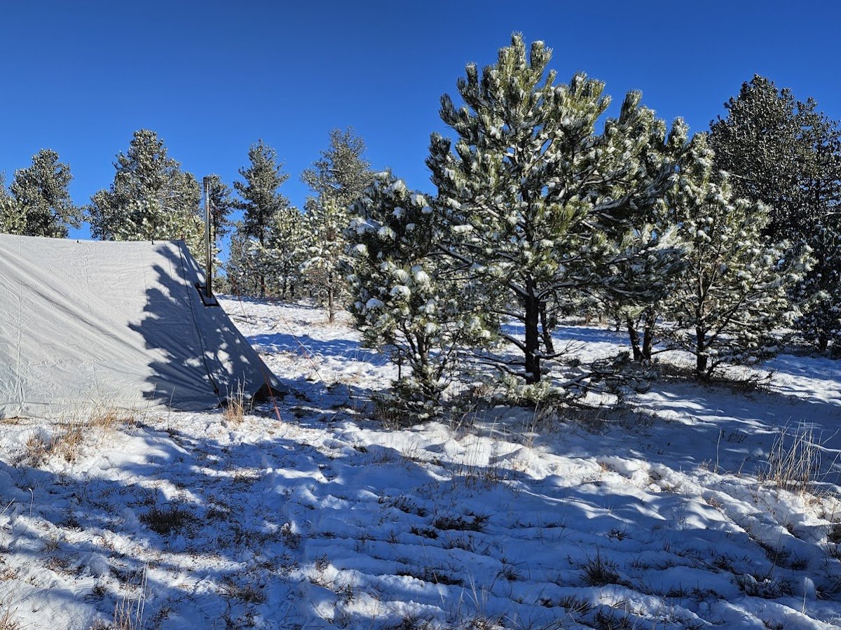 Highway 89 Dispersed Camp Site, Black Hills photo 1
