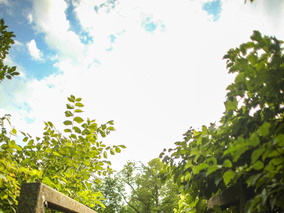 Icelandic State Park