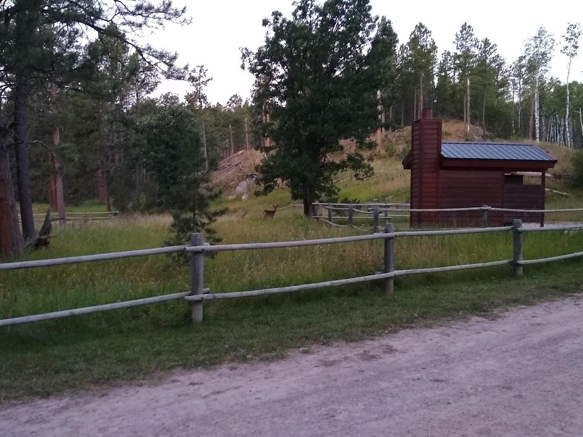 Iron Creek Camp Ground