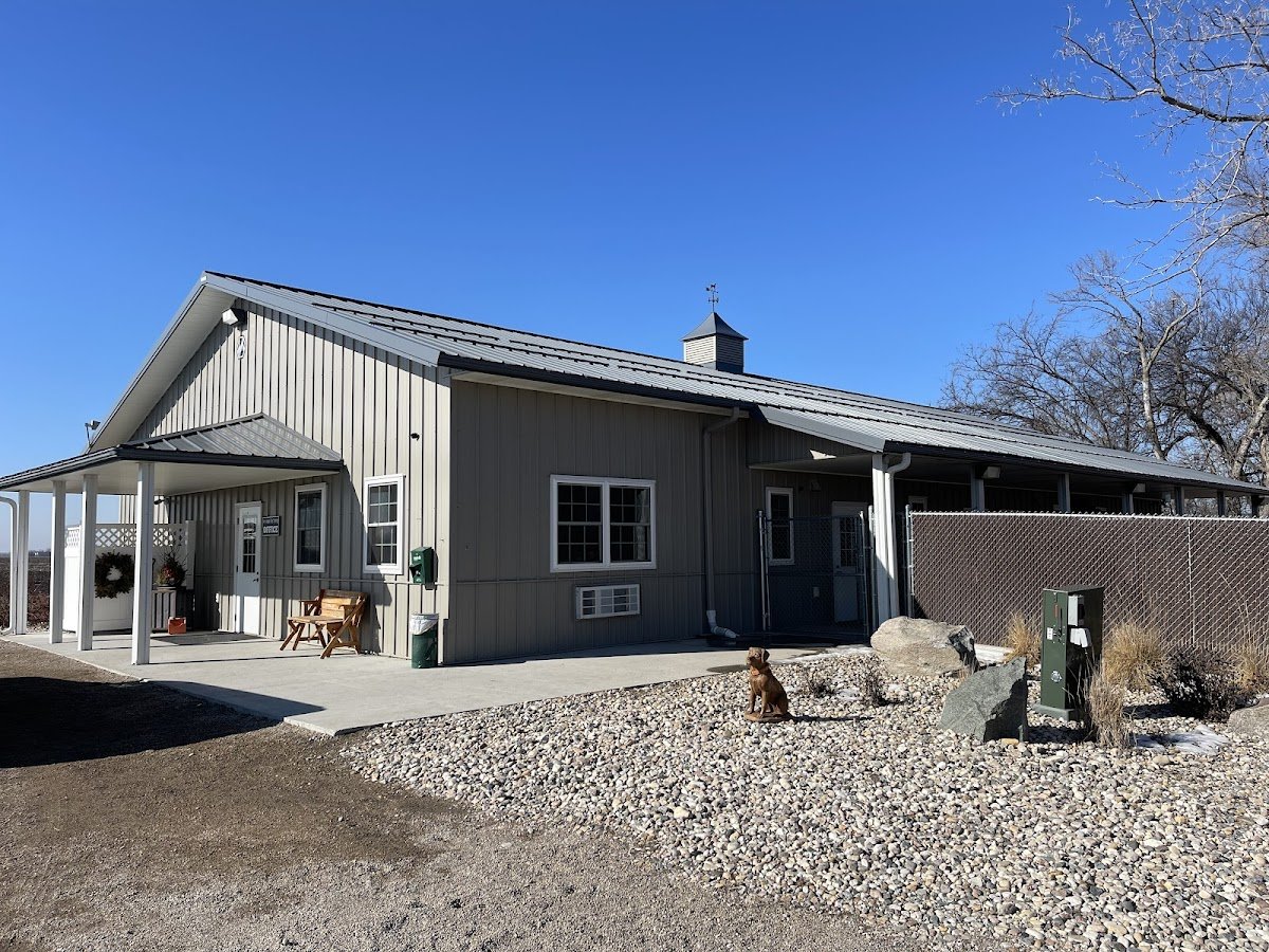 Ivy League Dog Training