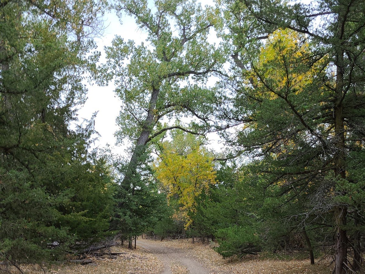 LaFramboise Island Nature Area
