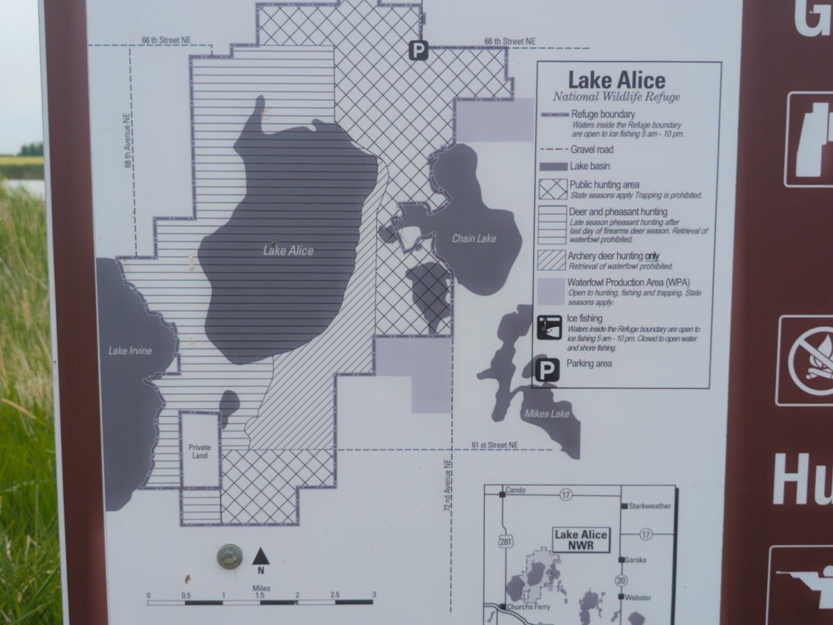 Lake Alice National Wildlife Refuge photo 1