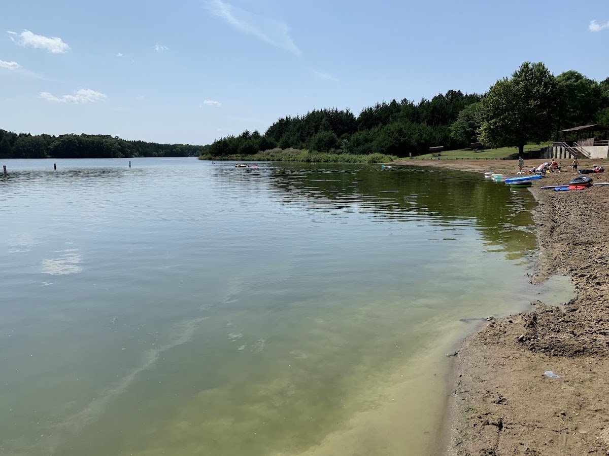Lake Alvin Recreation Area