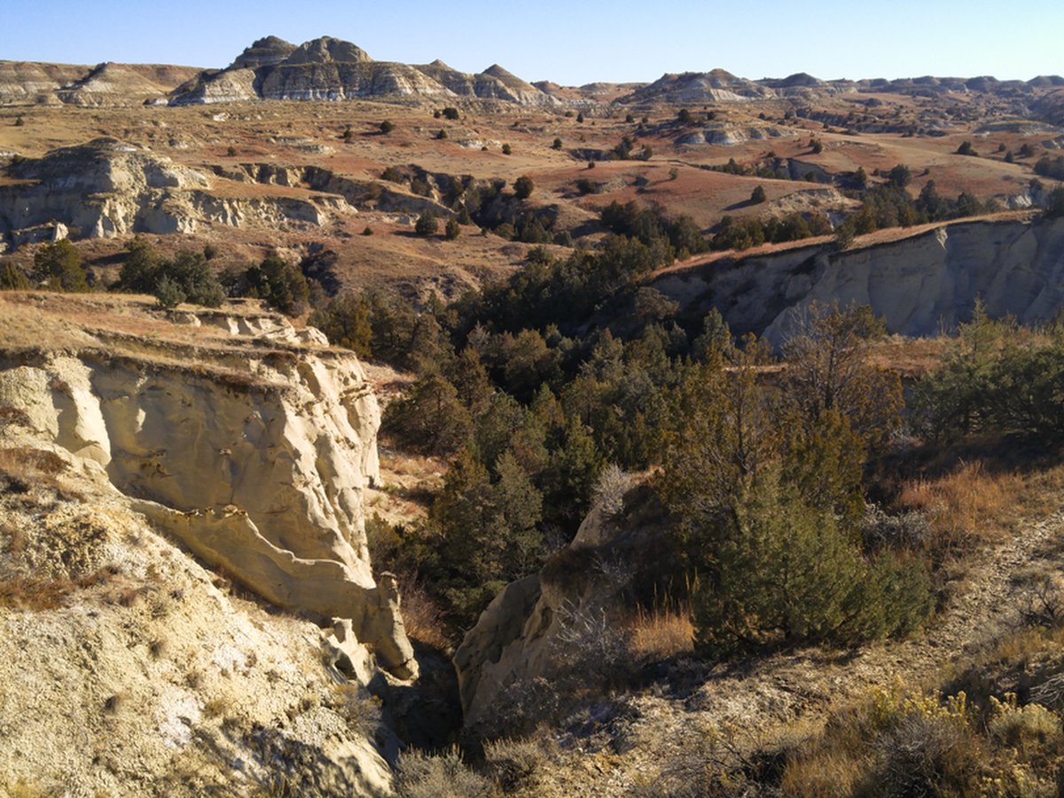 Little Missouri National Grassland