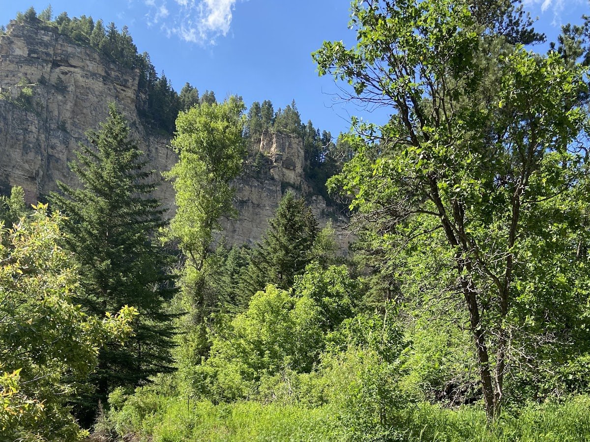 Long Valley Picnic Area