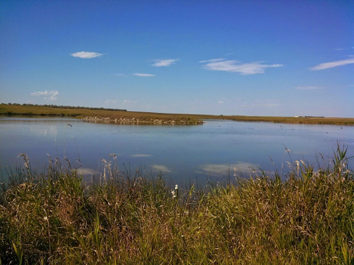 McLean National Wildlife Refuge