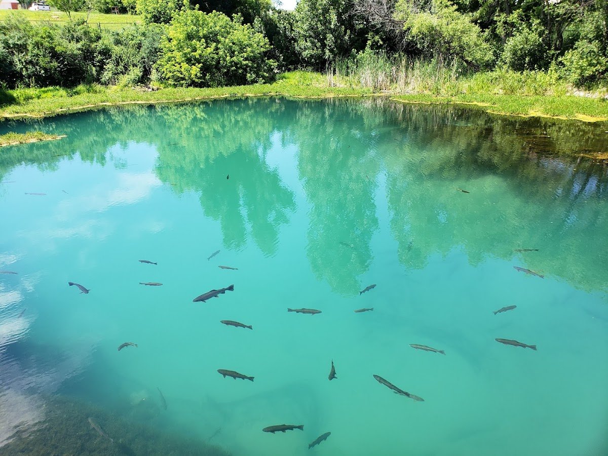 McNenny Fish Hatchery