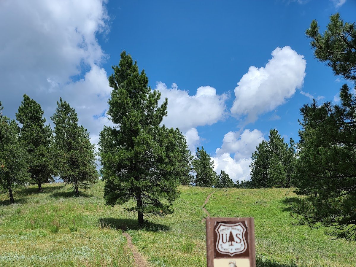 Pactola Reservoir Campground