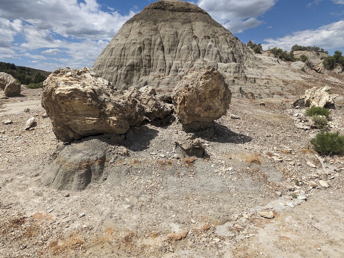 Petrified Forest Loop