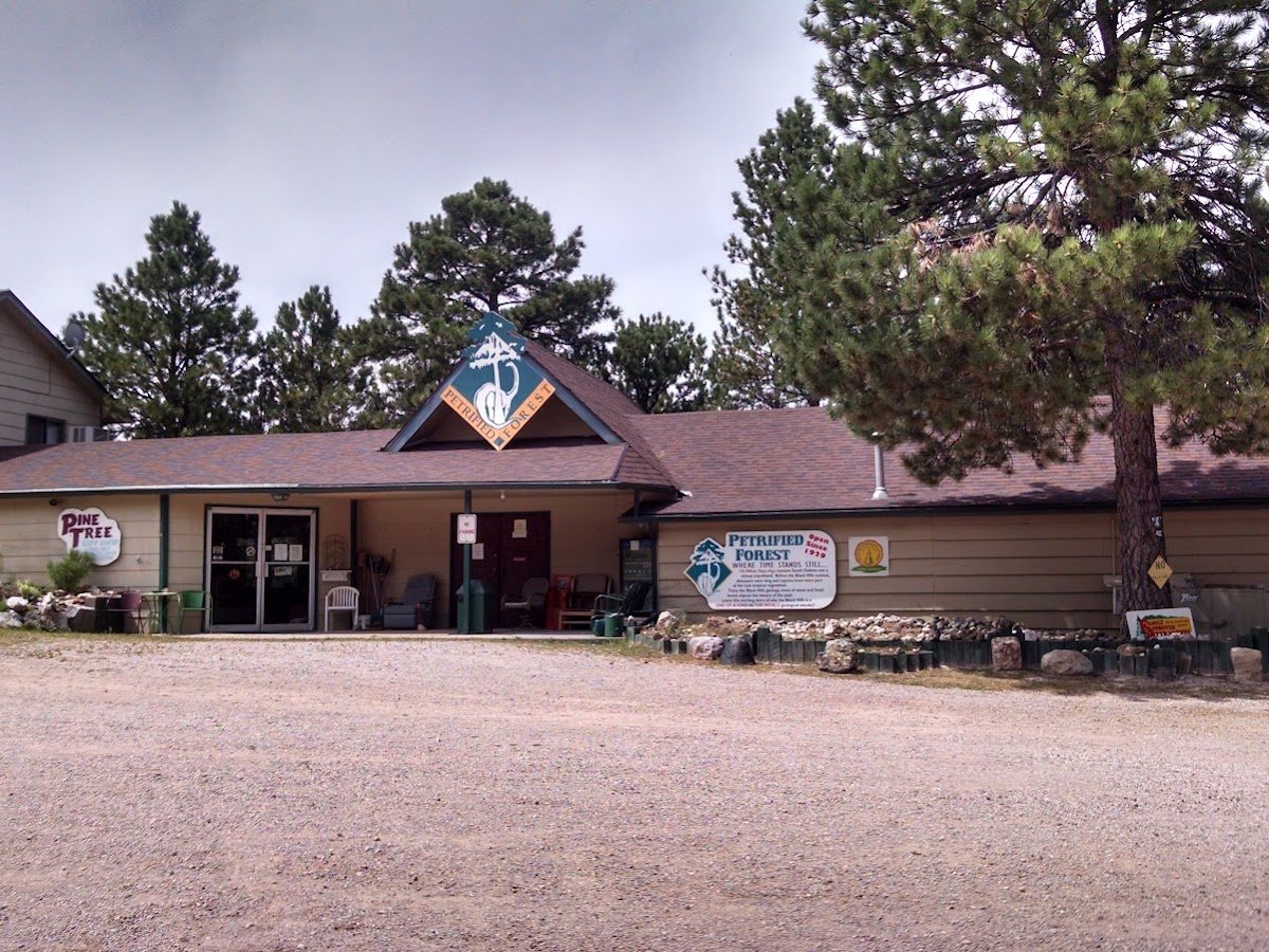 Petrified Forest of the Black Hills-Elk Creek Resort