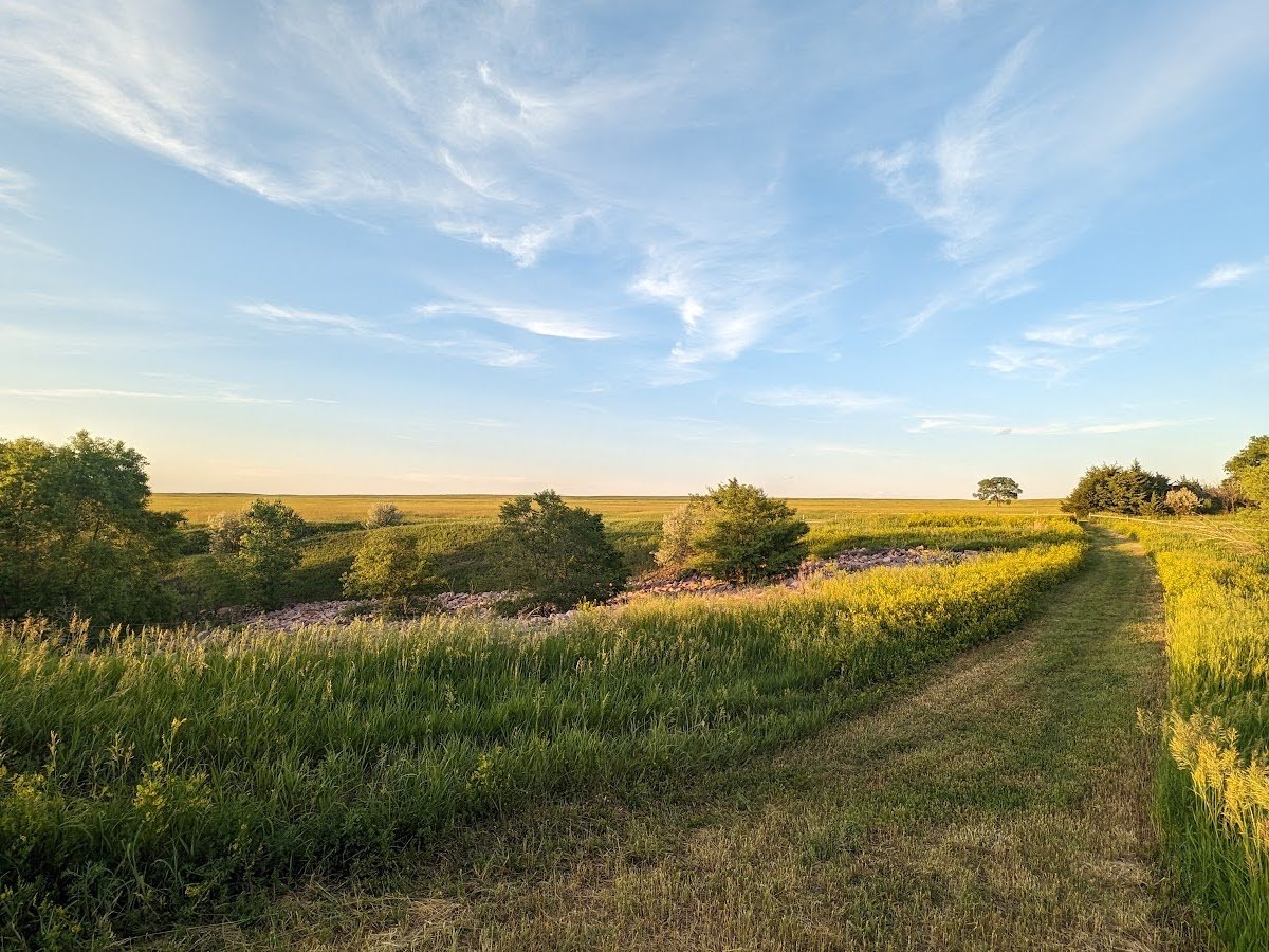 Pierre National Grassland