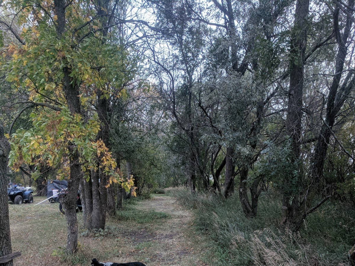 Primitive Campground