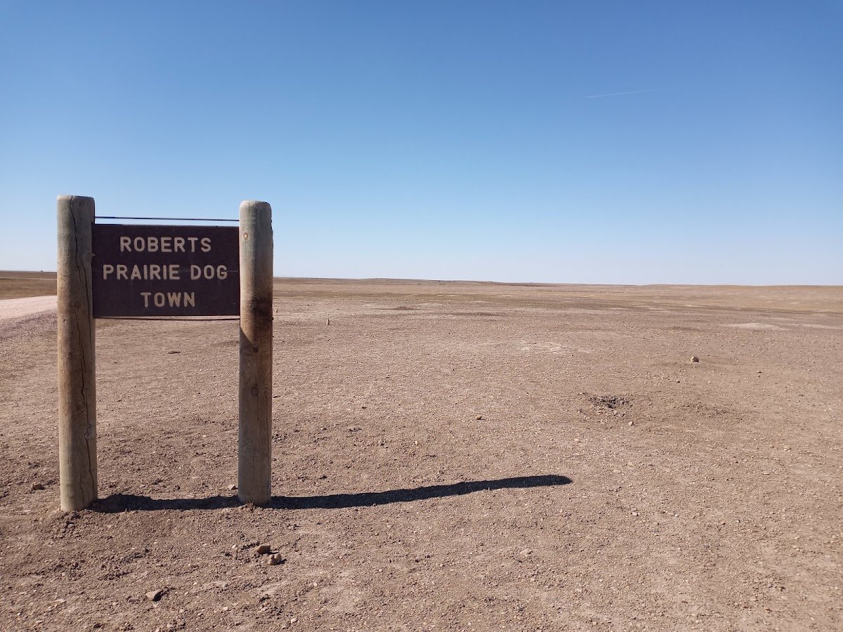 Roberts Prairie Dog Town