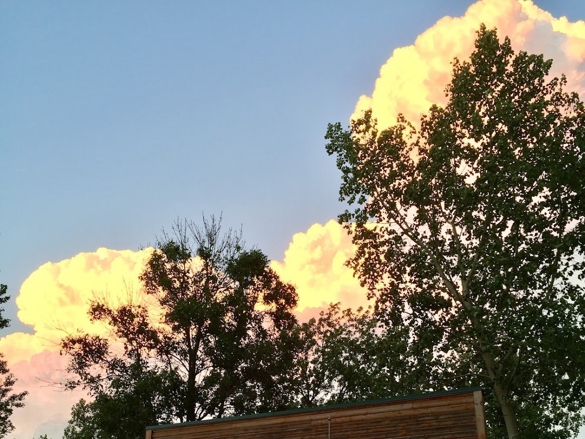 Roughrider Camp Ground