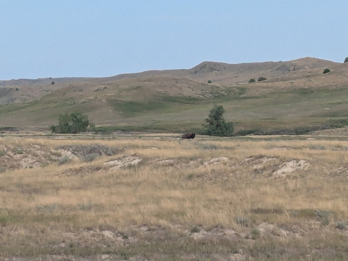 Sage Creek Wilderness Area