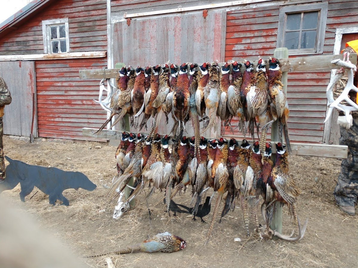 Sauvage Ranch Hunting