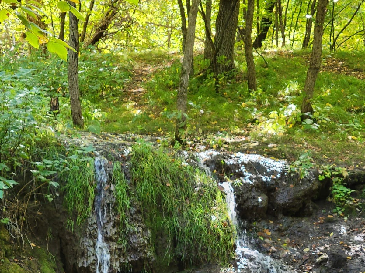 Sheyenne River State Forest