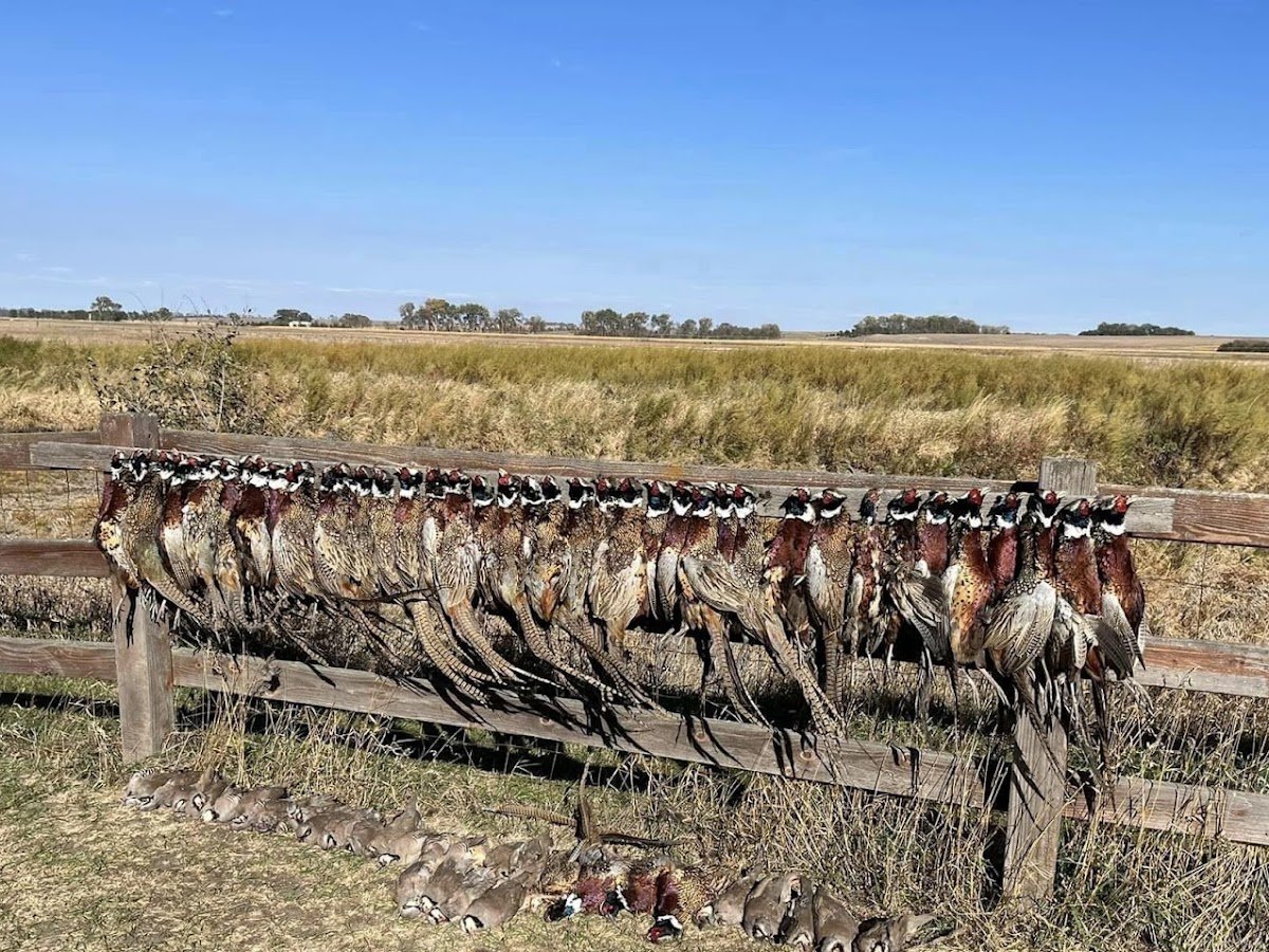 Sioux River Hunt Club