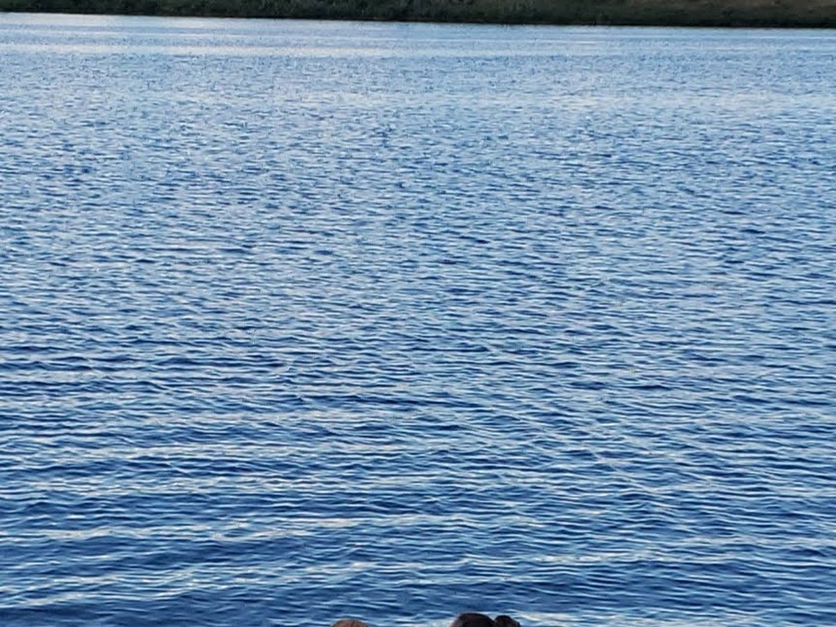 Smishek Lake photo 1