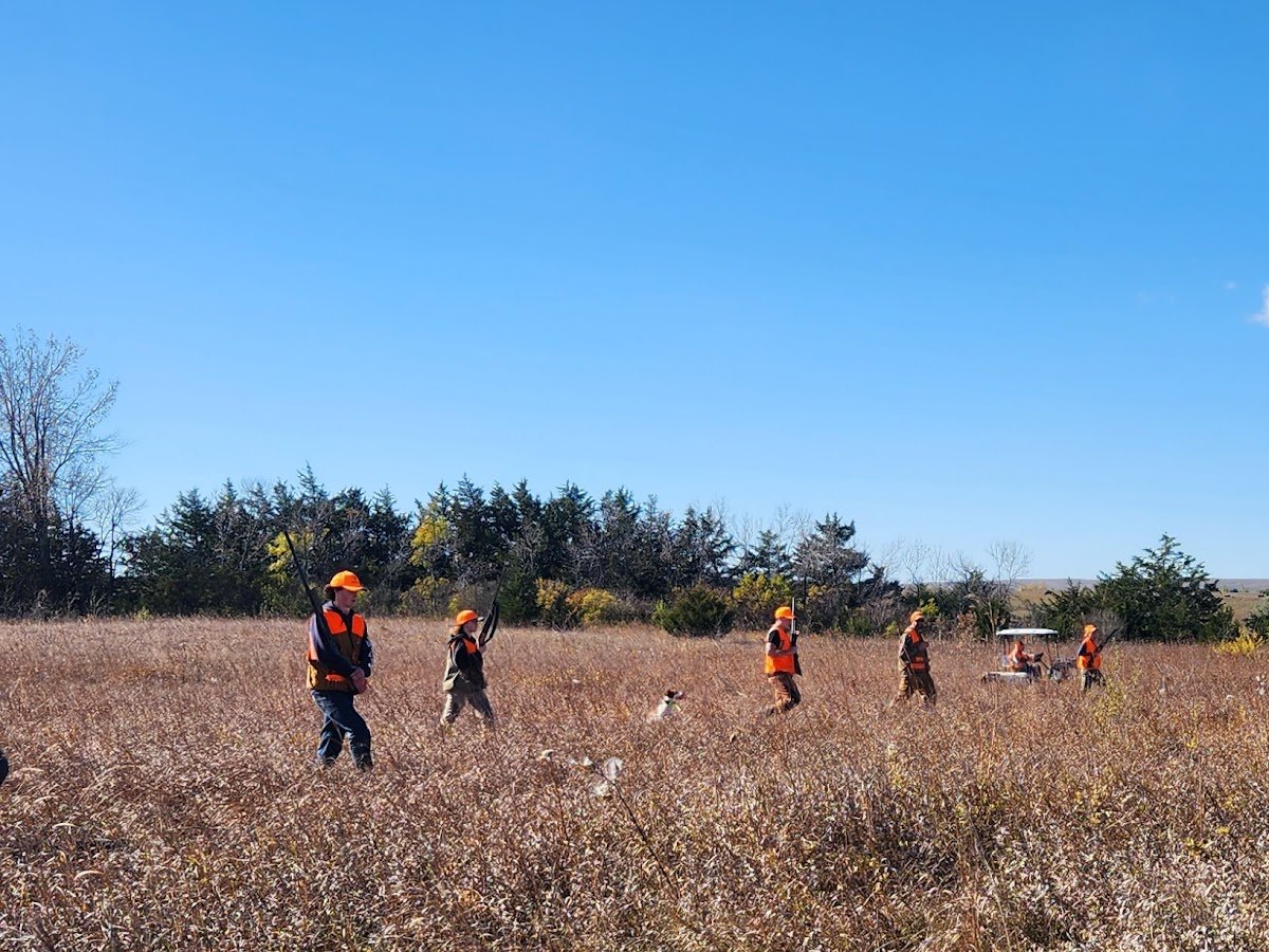 South Dakota Pheasant Hunts