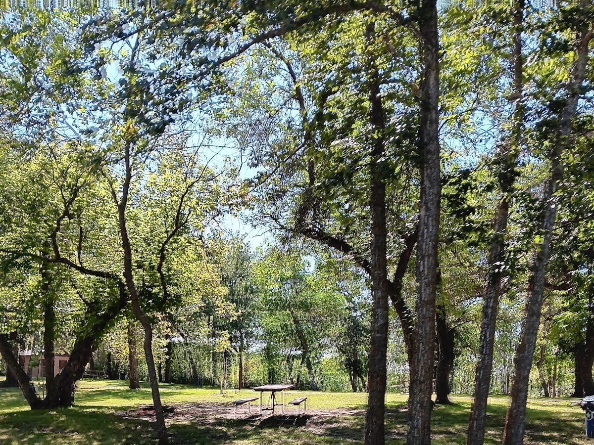 South Hill Campground