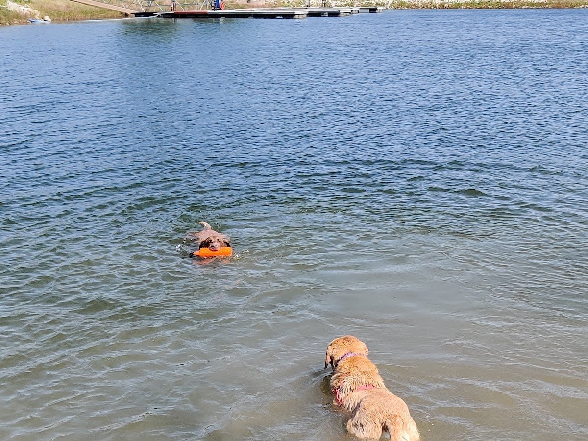 Spring Creek Recreation Area