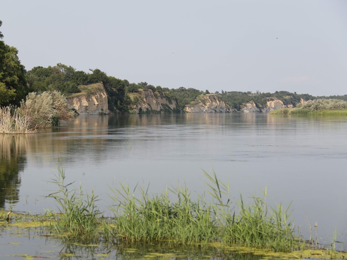 Springfield Recreation Area photo 1