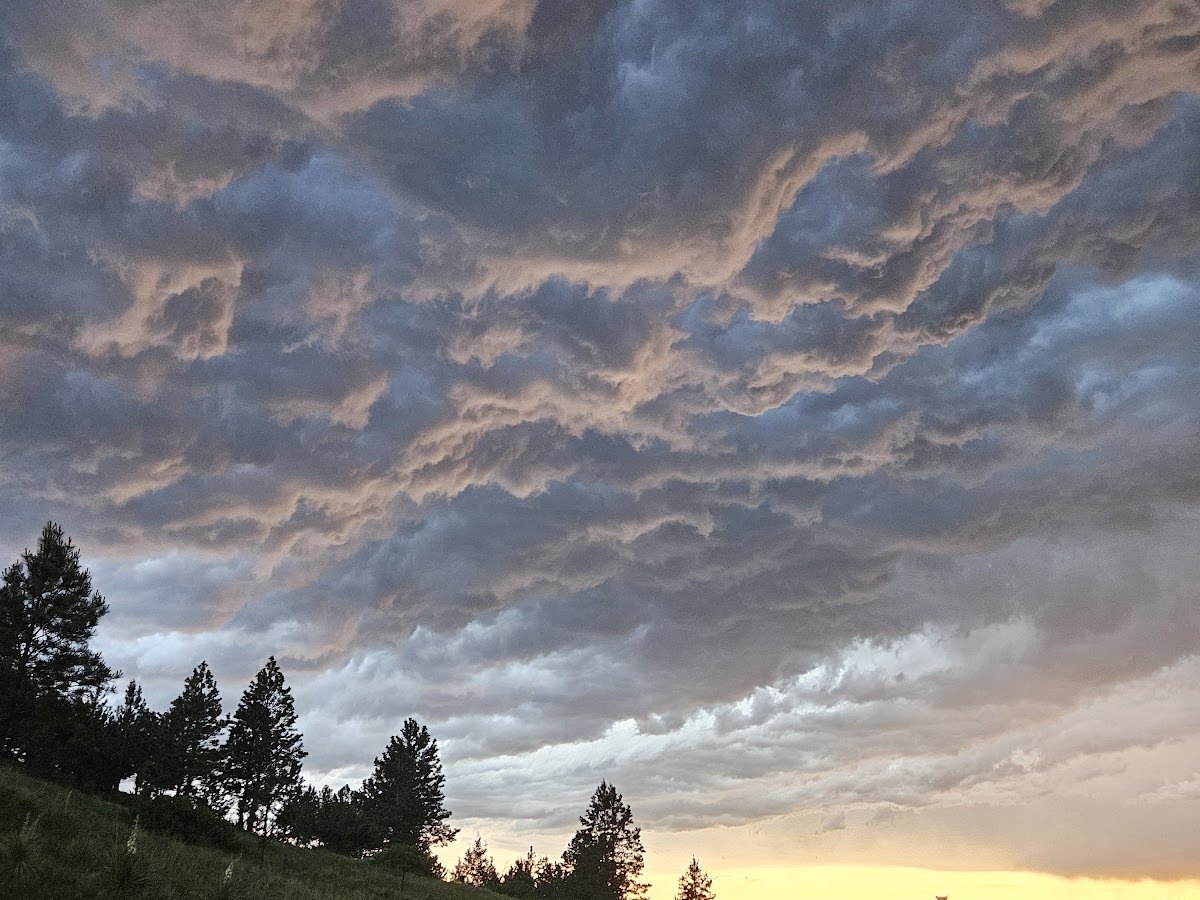 Stagecoach Stays of the Southern Black Hills